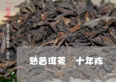 熟普洱茶 十年陈/2023033136036